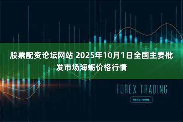 股票配资论坛网站 2025年10月1日全国主要批发市场海蛎价格行情