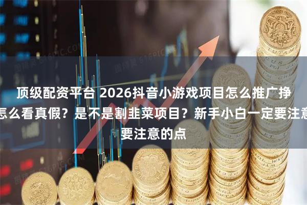顶级配资平台 2026抖音小游戏项目怎么推广挣钱？怎么看真假？是不是割韭菜项目？新手小白一定要注意的点