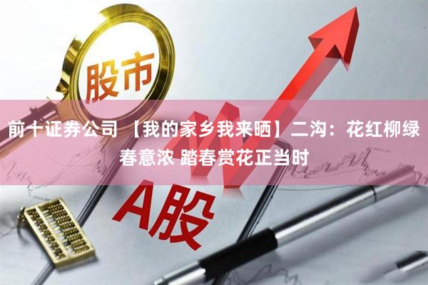 前十证券公司 【我的家乡我来晒】二沟：花红柳绿春意浓 踏春赏花正当时