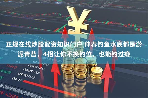 正规在线炒股配资知识门户 仲春钓鱼水底都是淤泥青苔，4招让你不换钓位，也能钓过瘾